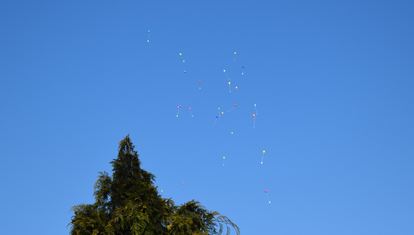 Frieden Luftballon 3
